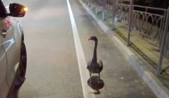 Bitrix 182112: 5.jpg