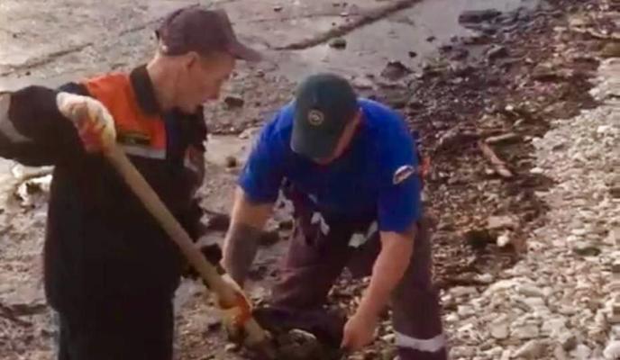 Bitrix 159827: 5.jpg