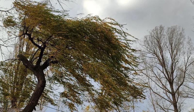 Bitrix 184035: 5.jpg