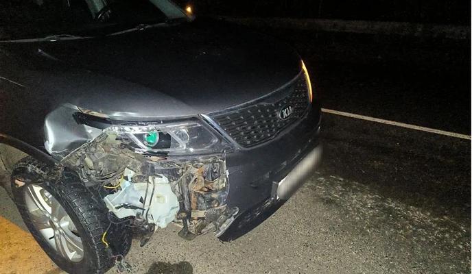 Bitrix 183655: 5.jpg