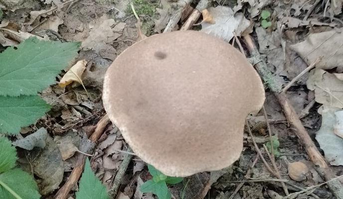 Bitrix 153570: 5.jpg