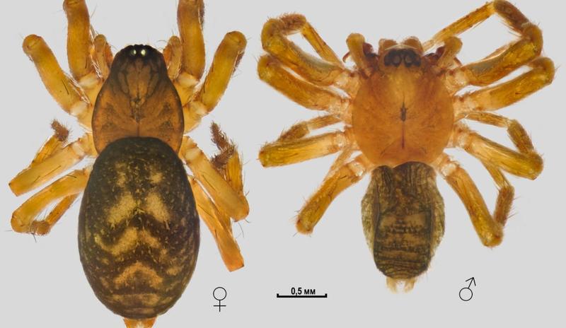 Bitrix 182789: 5.jpg