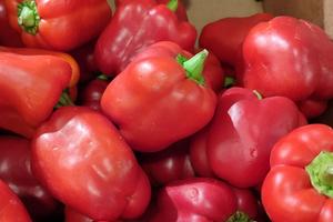 Фото Новая Кубань