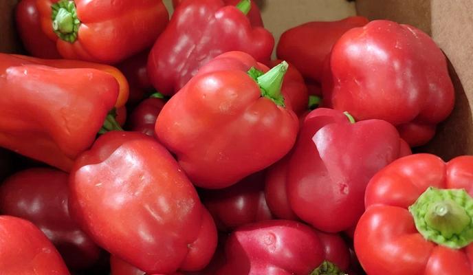 Фото Новая Кубань