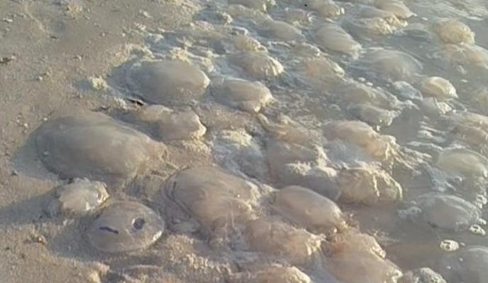 Bitrix 177715: 60-_1_.jpg