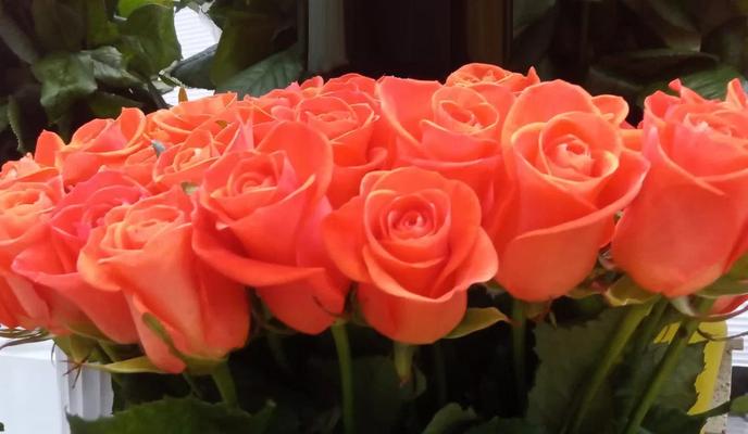 Bitrix 184848: 600.jpg