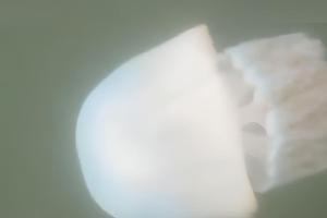 604