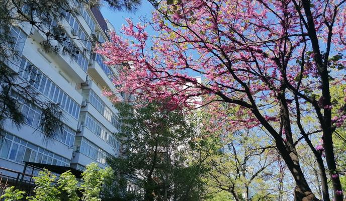 Bitrix 118139: 6175d53b_6118_473b_95a9_4126a6c07624.jpg