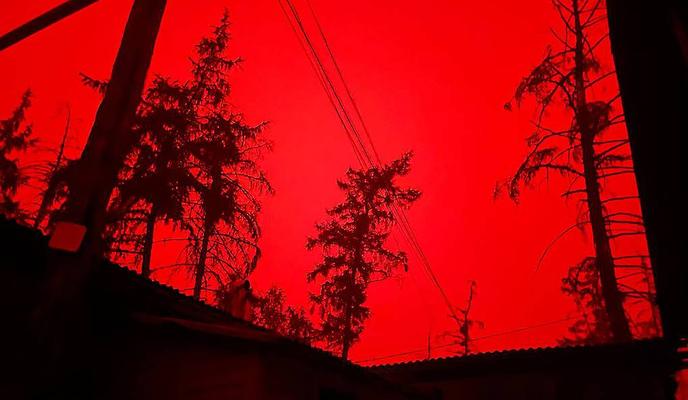 Bitrix 101023: 6269955.jpeg