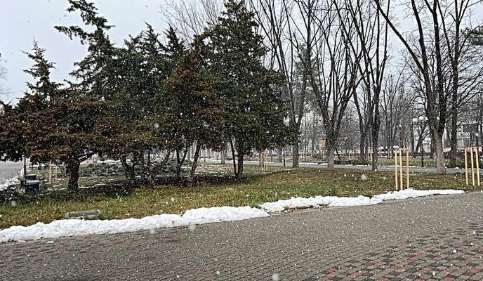 Bitrix 111528: 63681f19_c4b9_47dc_8265_79c5ed242dc5.jpg