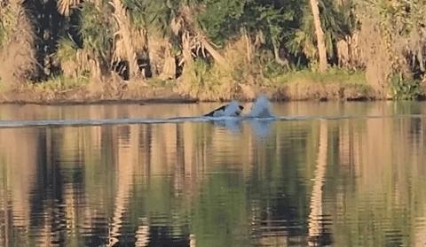 Bitrix 152956: 6500.jpg