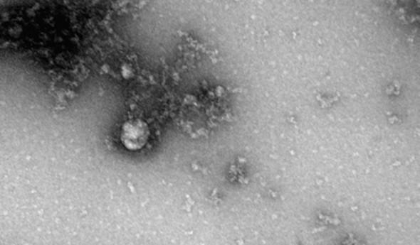 Bitrix 89441: 65.jpg