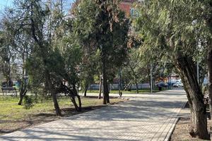 Bitrix 185140: 65db3aa4_45aa_453d_bb94_087f76c562a6.jpg