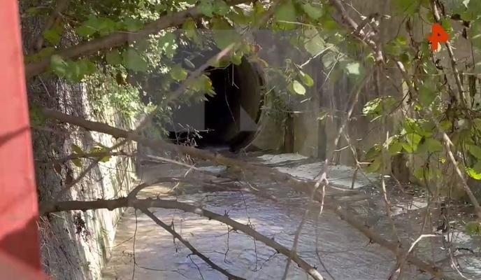 Bitrix 160910: 667.jpg