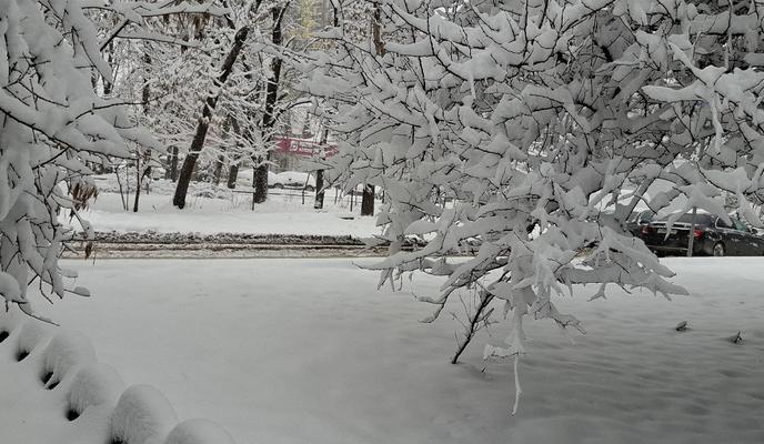 Bitrix 183457: 66.jpg