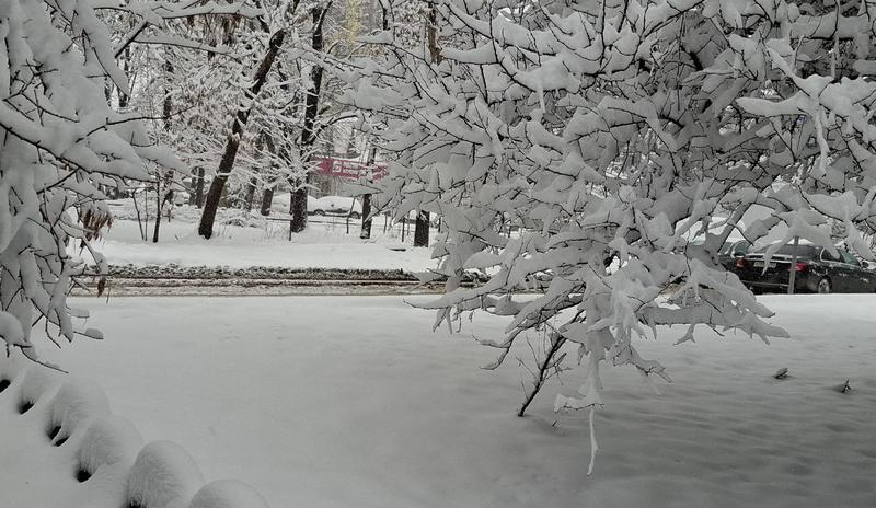 Bitrix 183457: 66.jpg