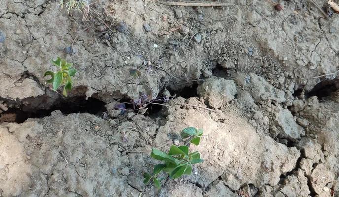 Bitrix 172467: 66.jpeg