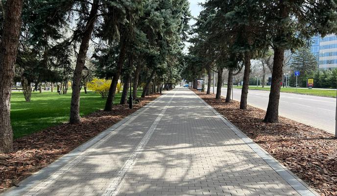 Bitrix 116014: 676996da_496f_4cf6_9180_a1c11cf831f8.jpg