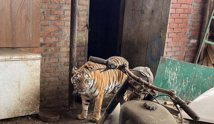 Bitrix 160862: 678.jpg