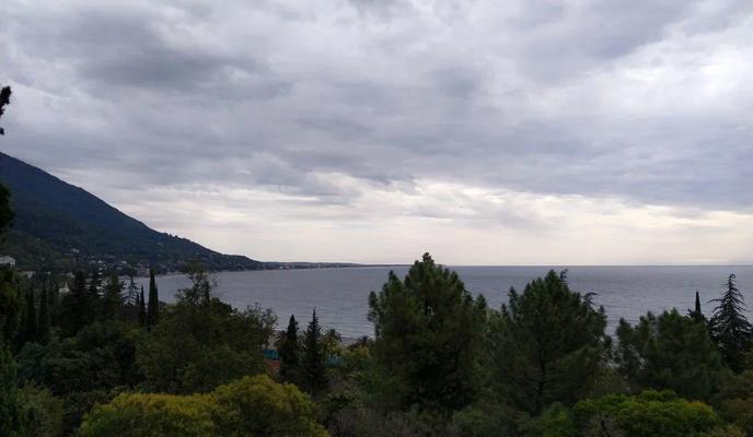 Bitrix 162828: 67.jpg