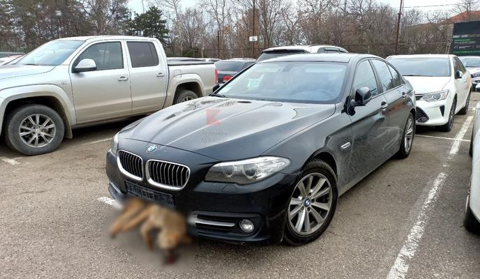 Bitrix 113472: 68b7f900_5349_42e6_bf93_2d5d22f582ba.jpeg