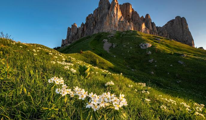 Bitrix 96147: 6927164_xlarge.jpeg