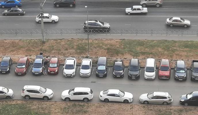 Фото Новая Кубань