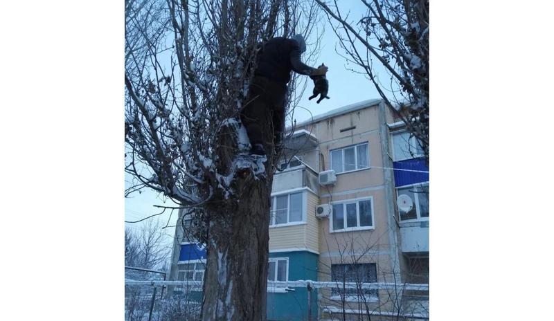 Bitrix 111127: 6CQJXiOOvFo.jpg