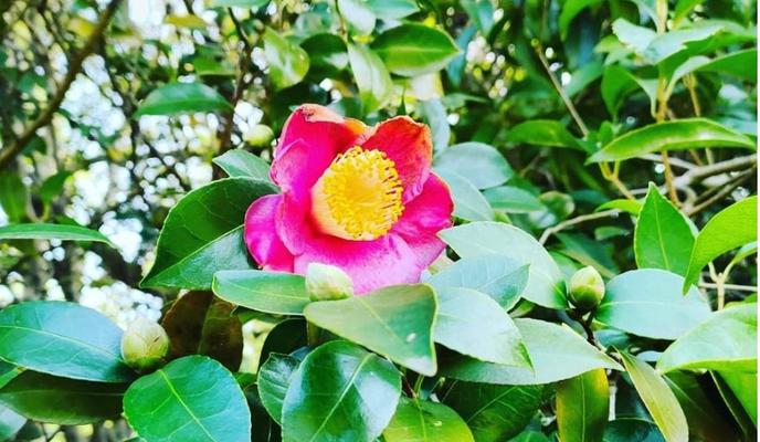 Bitrix 110678: 6QgYUi5Ob8k.jpg