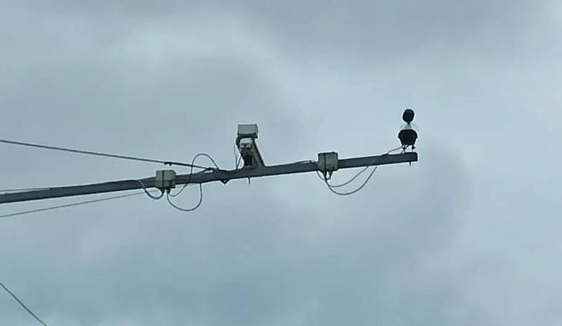 Bitrix 183766: 6.jpg
