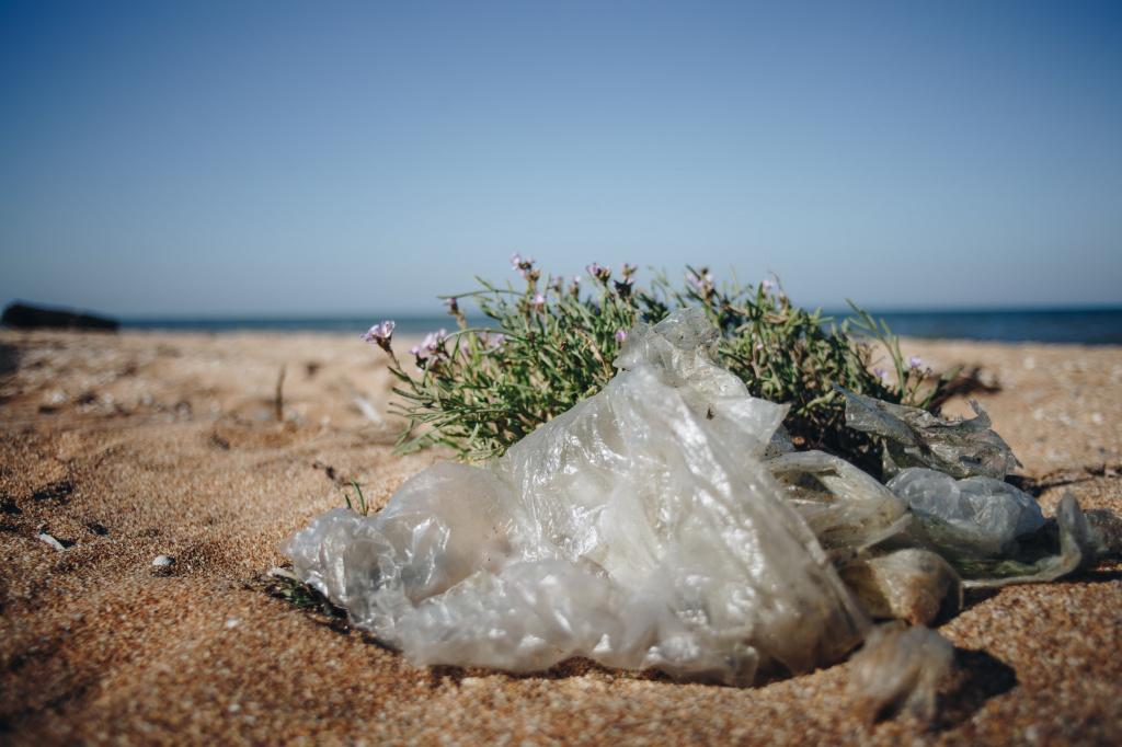 Bitrix 62039: 6_min.JPG