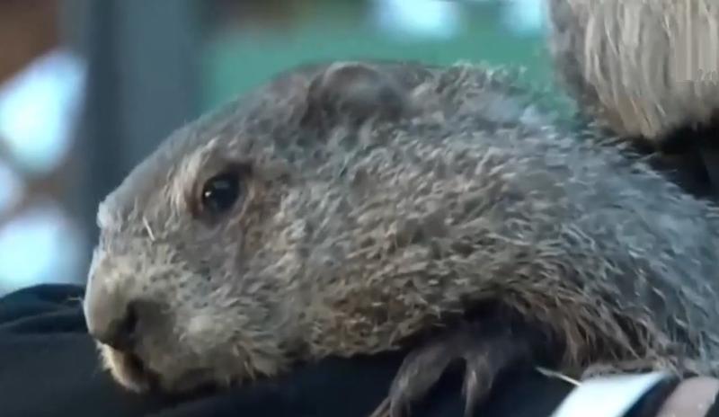 Bitrix 183497: 6.jpg