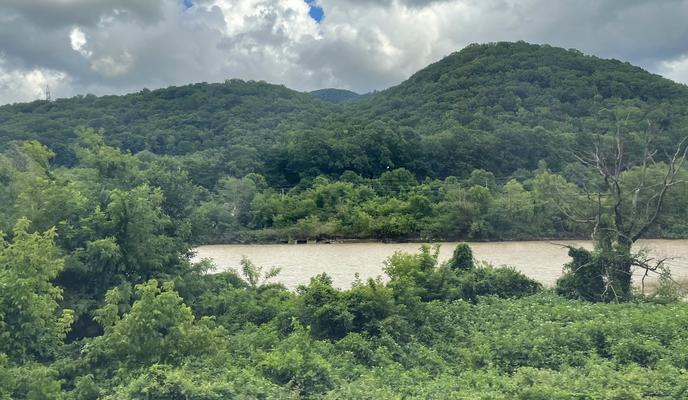 Bitrix 132671: 6a22749c_fad1_46b5_a04675_ca96aaad702c.jpg