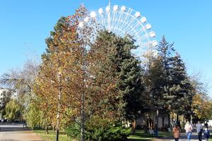 Bitrix 109201: 6d4c8ed0_4af0_4038_981c_ab3b4ef1c65f.jpg