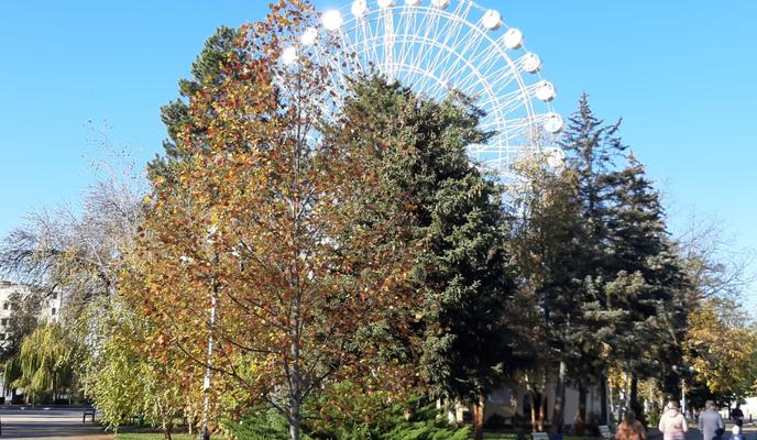 Bitrix 109201: 6d4c8ed0_4af0_4038_981c_ab3b4ef1c65f.jpg