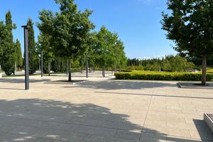 Bitrix 175218: 6f13d0ce_ed49_4130_b5a4_658ac99711ca.jpg
