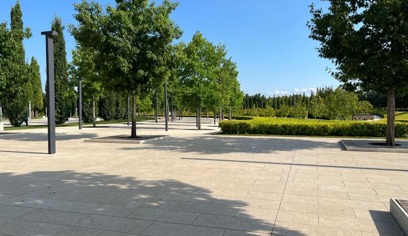 Bitrix 136685: 6f13d0ce_ed49_4130_b5a4_658ac99711ca.jpg