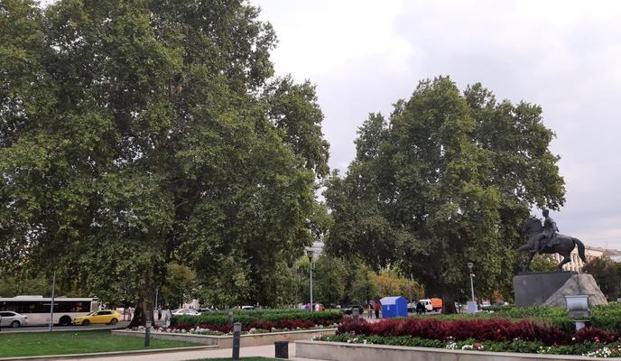 Bitrix 103907: 70e6fc92_faa8_41a1_ad82_631b6e3ee569.jpg