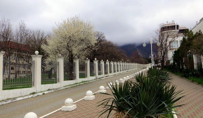 Bitrix 93673: 748491_main.jpeg