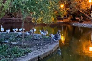 Bitrix 160082: 750d8dce_c149_4cd9_ac6b_3a01cf385ee4.jpg