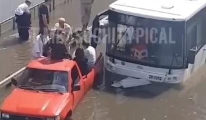 Bitrix 139327: 774.jpg