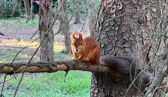 Bitrix 147747: 7767e9ce_15b5_4a4d_9910_43dc0f1dc890.jpg