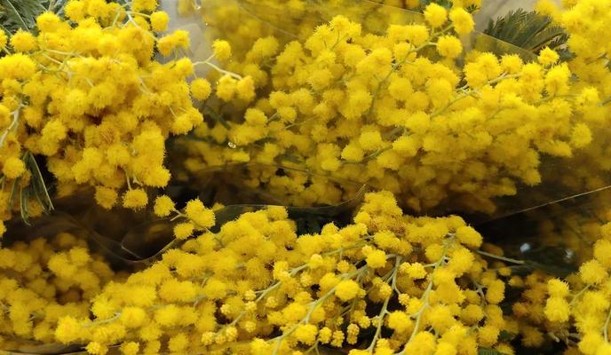 Bitrix 164985: 777.jpg