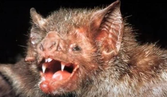 Bitrix 100718: 77.jpg