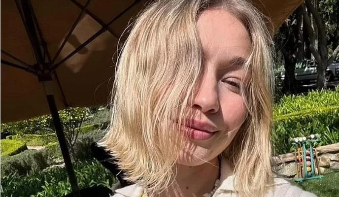 Bitrix 149830: 77.jpg