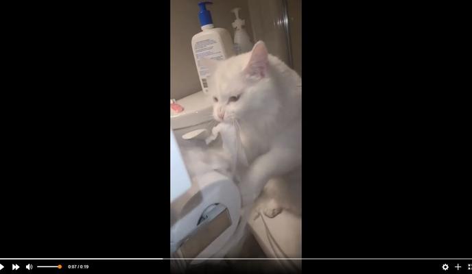 Bitrix 107348: 77.jpg