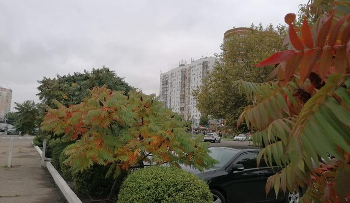 Bitrix 105127: 77af3f10_f16e_4774_88d0_81cbb6c5e3c8.jpg