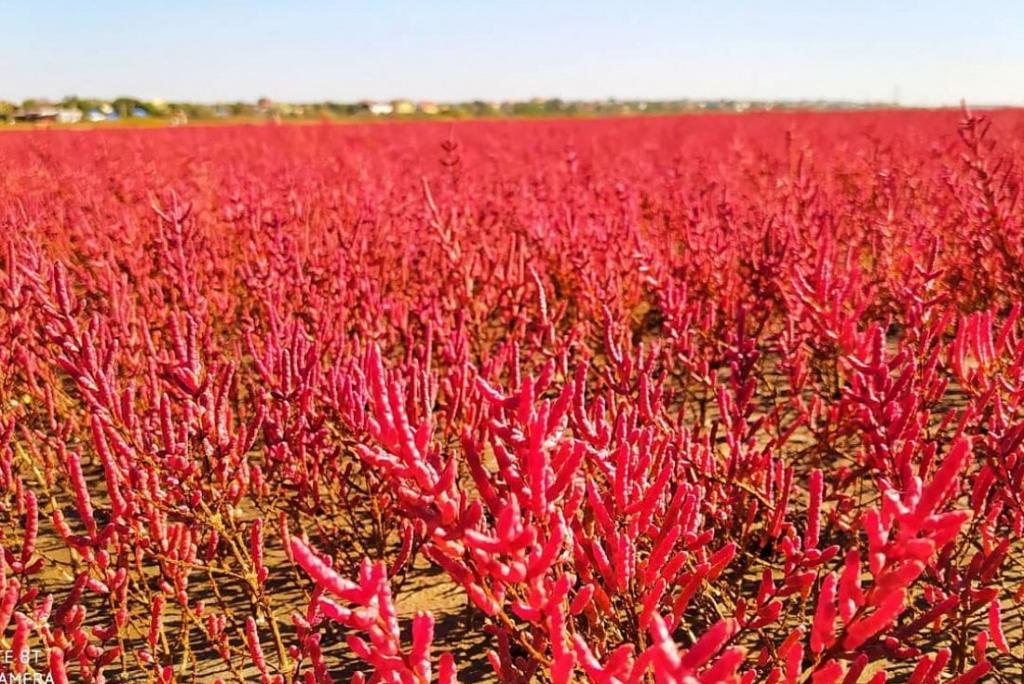 Bitrix 83060: 789789.jpg