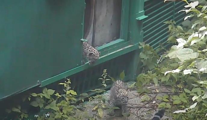 Bitrix 102659: 7T8Aybh4yI.jpg