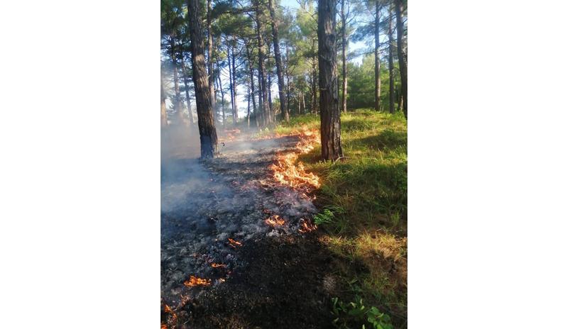 Bitrix 121879: 7TsiwB_yB304D2P1eH3m7_hzsQK_RsT_tkuMsUEFx18Kqu_zfEnbR5wgLSqZ63VEZJE9HdpMBD_zATTKTs43qdFi.jpg